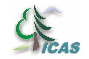 c-icas